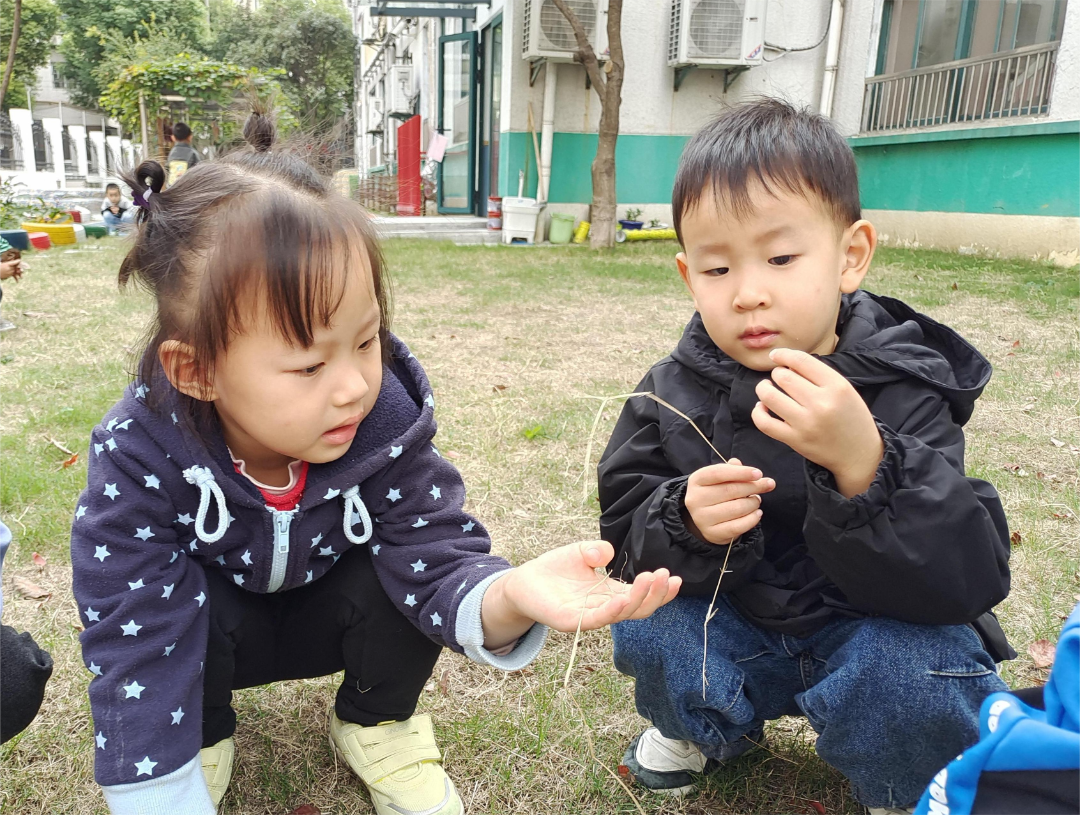 IMG_20221103_101307(1).png https://wxxyx.wxlxjy.com/contents/sitefiles2054/10273306/images/41600955.png