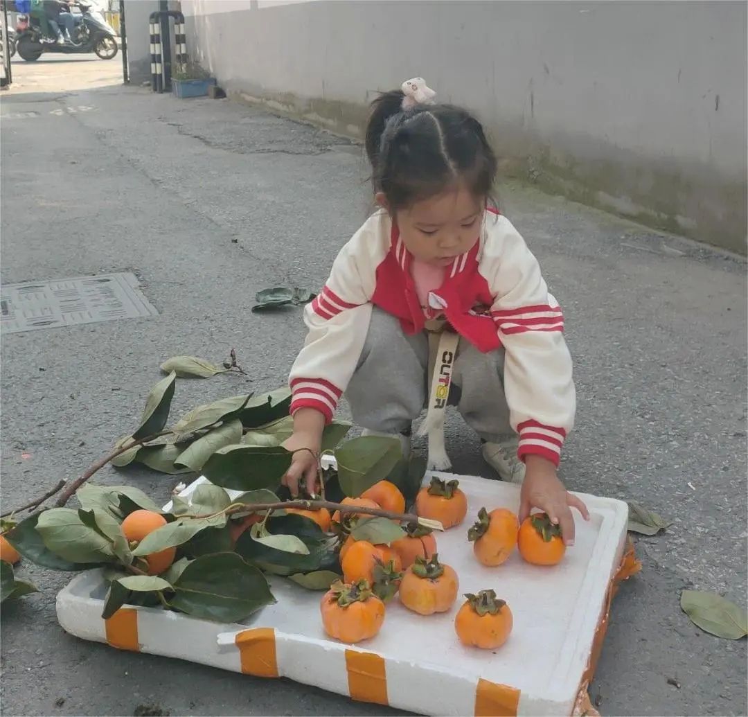 QQ图片20221019102834.jpg https://wxxyx.wxlxjy.com/contents/sitefiles2054/10273306/images/41601139.jpeg