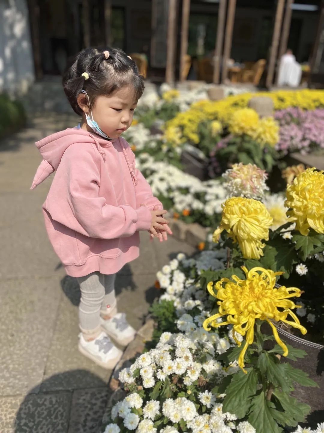 QQ图片20221019103513.jpg https://wxxyx.wxlxjy.com/contents/sitefiles2054/10273306/images/41601174.jpeg