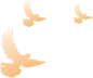 https://wxxyx.wxlxjy.com/contents/sitefiles2054/10273306/images/42004683.png