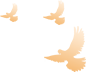 https://wxxyx.wxlxjy.com/contents/sitefiles2054/10273306/images/42004684.png