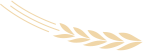 https://wxxyx.wxlxjy.com/contents/sitefiles2054/10273306/images/42004697.png